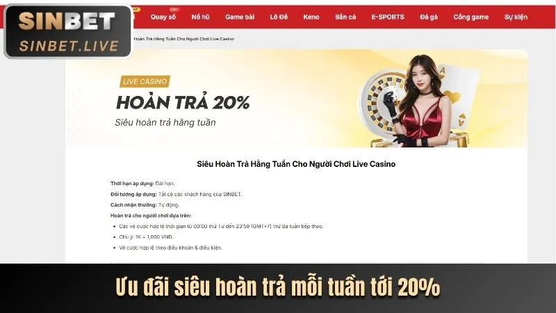 Hướng dẫn live casino hi8802
